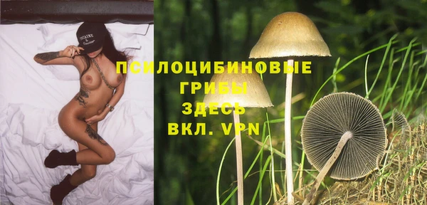 дмт Вуктыл