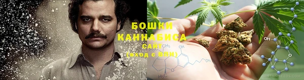 MDMA Гвардейск